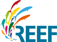 REEF Distribution GmbH